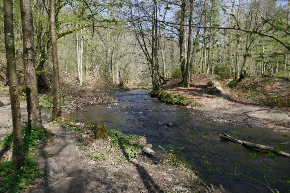Bergische Wanderungen: Altenberger Matschwege