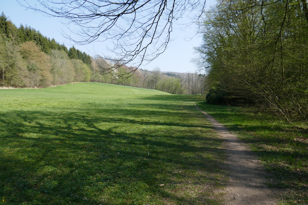 Bergische Wanderungen: Altenberger Matschwege