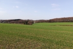 Bergische Wanderungen: Zwischen Ennepe und Wupper