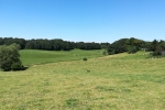 Bergische Wanderungen: Romantisches Eifgenbachtal