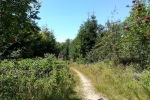 Bergische Wanderungen: Romantisches Eifgenbachtal