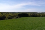 Bergische Wanderungen: Gelpetal