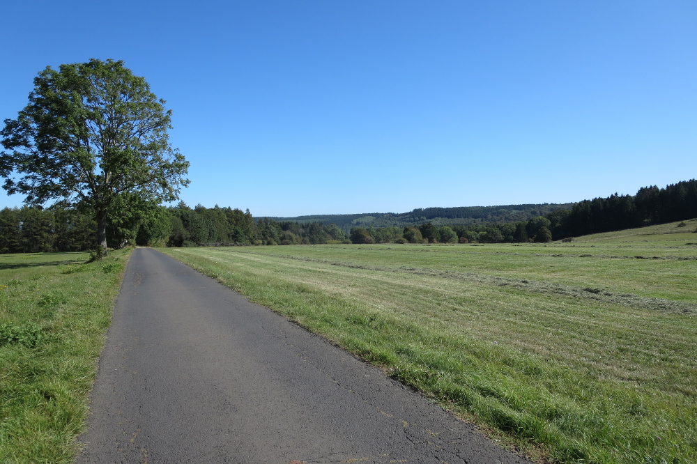 53. Int. Volkswandertag in Burbach-Holzhausen