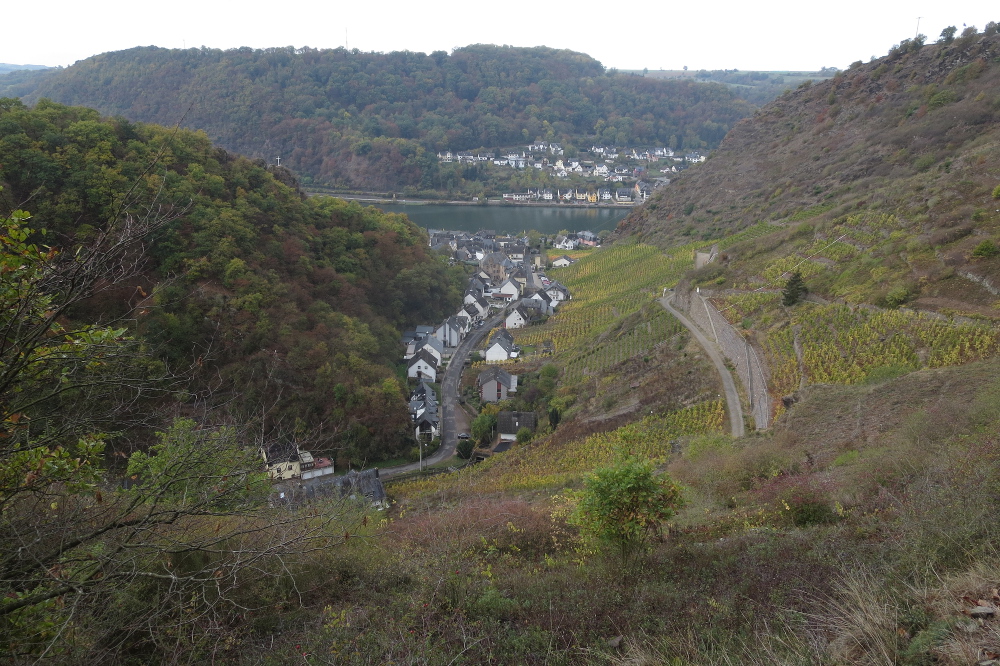 30. Int. Rhein-Mosel-Marathon - Alken