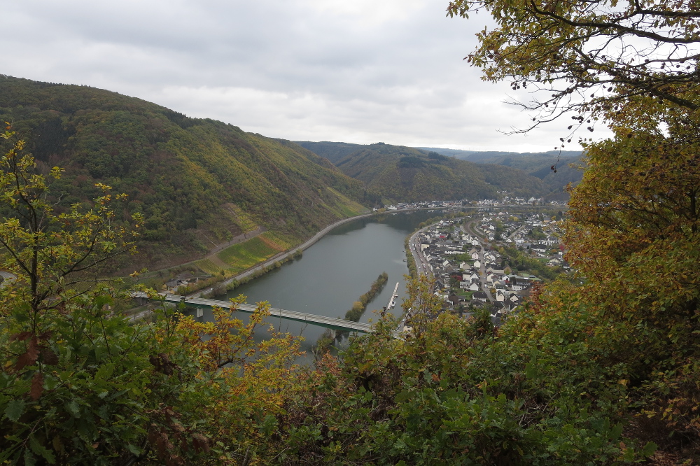 30. Int. Rhein-Mosel-Marathon - Mosel bei Löf