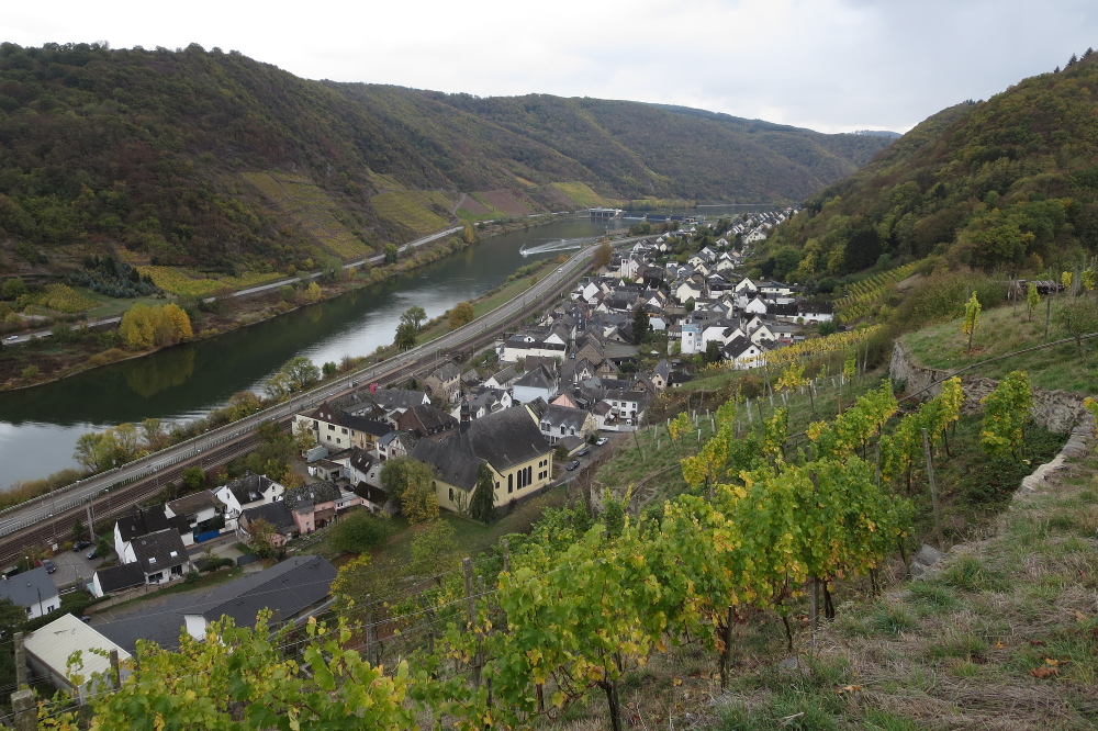 30. Int. Rhein-Mosel-Marathon - Lehmen