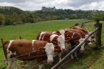 24. Bürener Wandertag in Wewelsburg