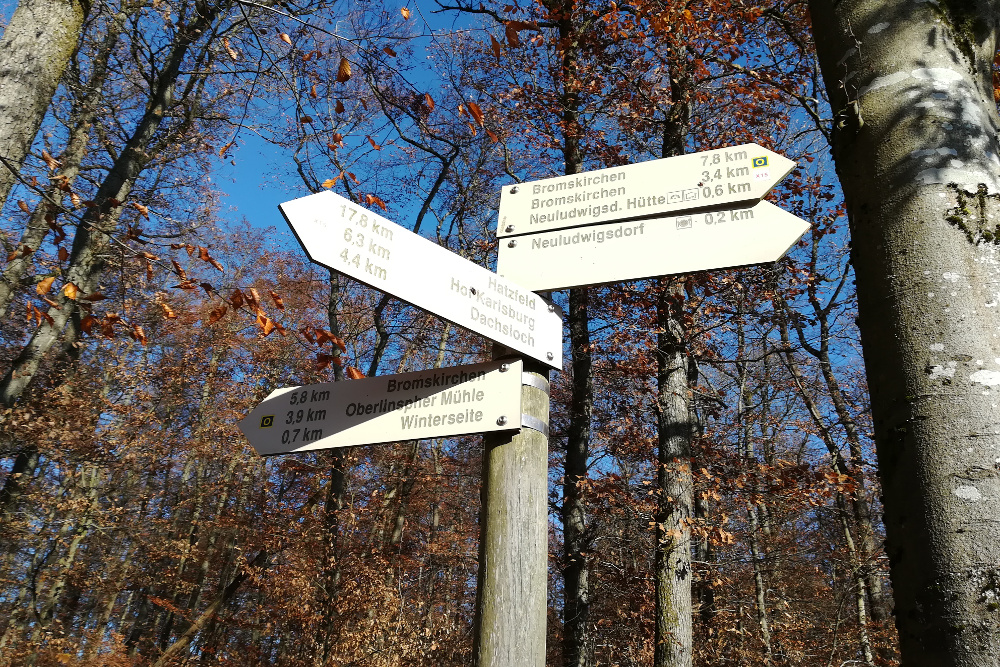 Ederbergland – Oberlinspher Weg