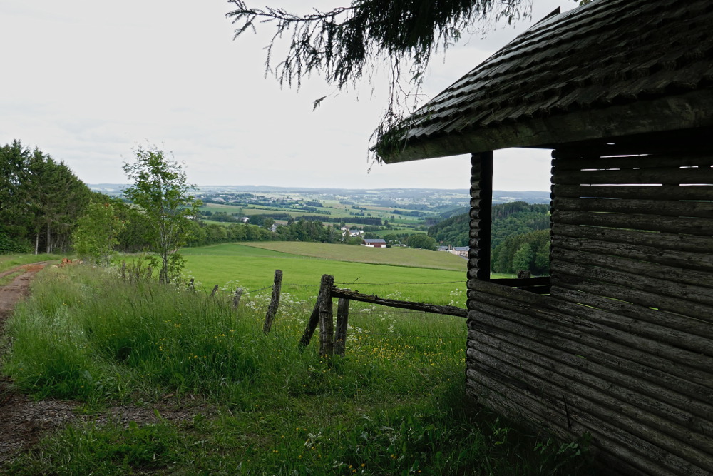 NaturWanderPark delux: Moore-Pfad Schneifel