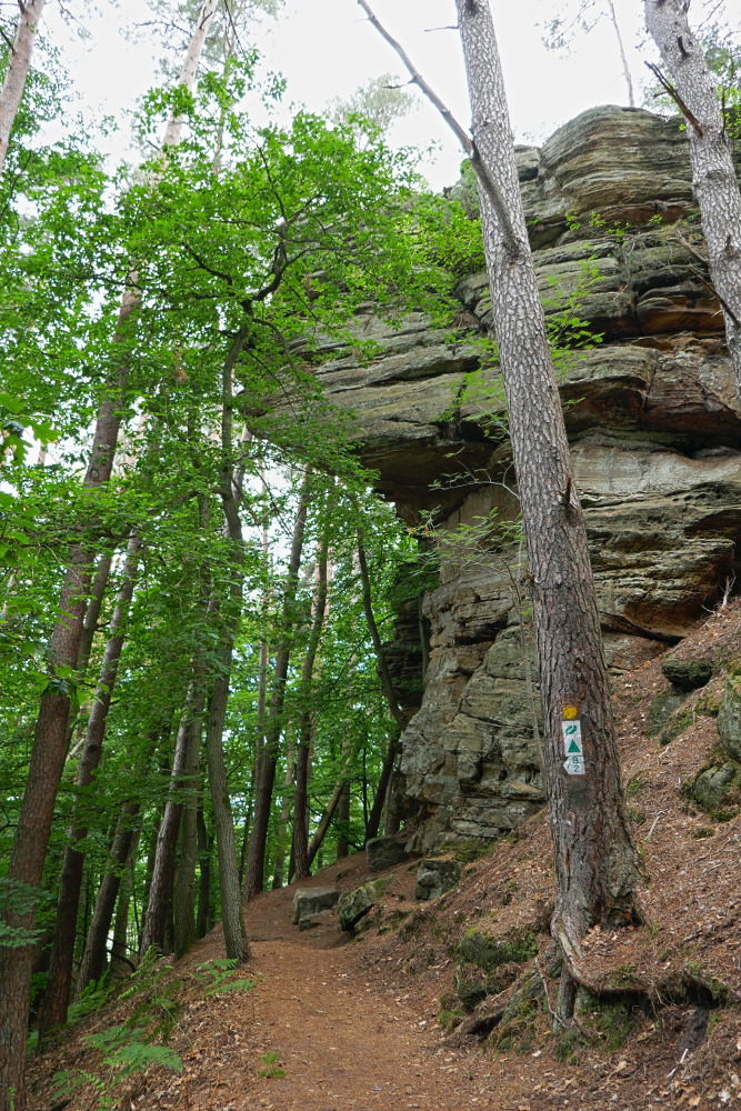 NaturWanderPark delux: Felsenweg - Berdorf
