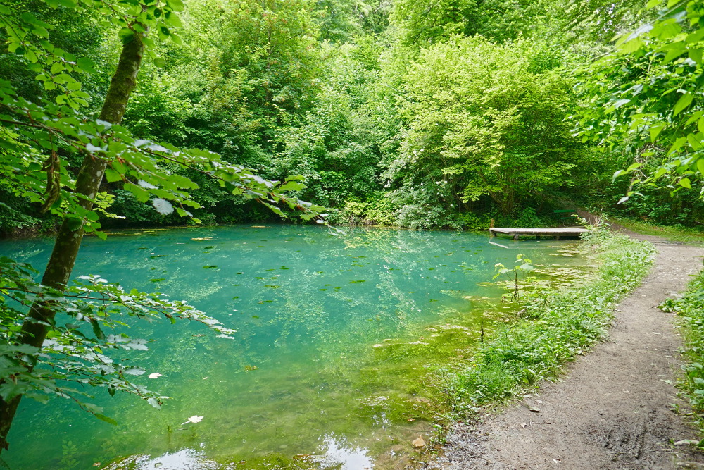 NaturWanderPark delux: Felsenweg - Berdorf