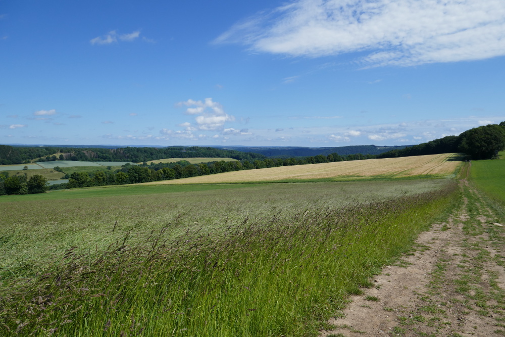 Premiumwanderweg Römerpfad