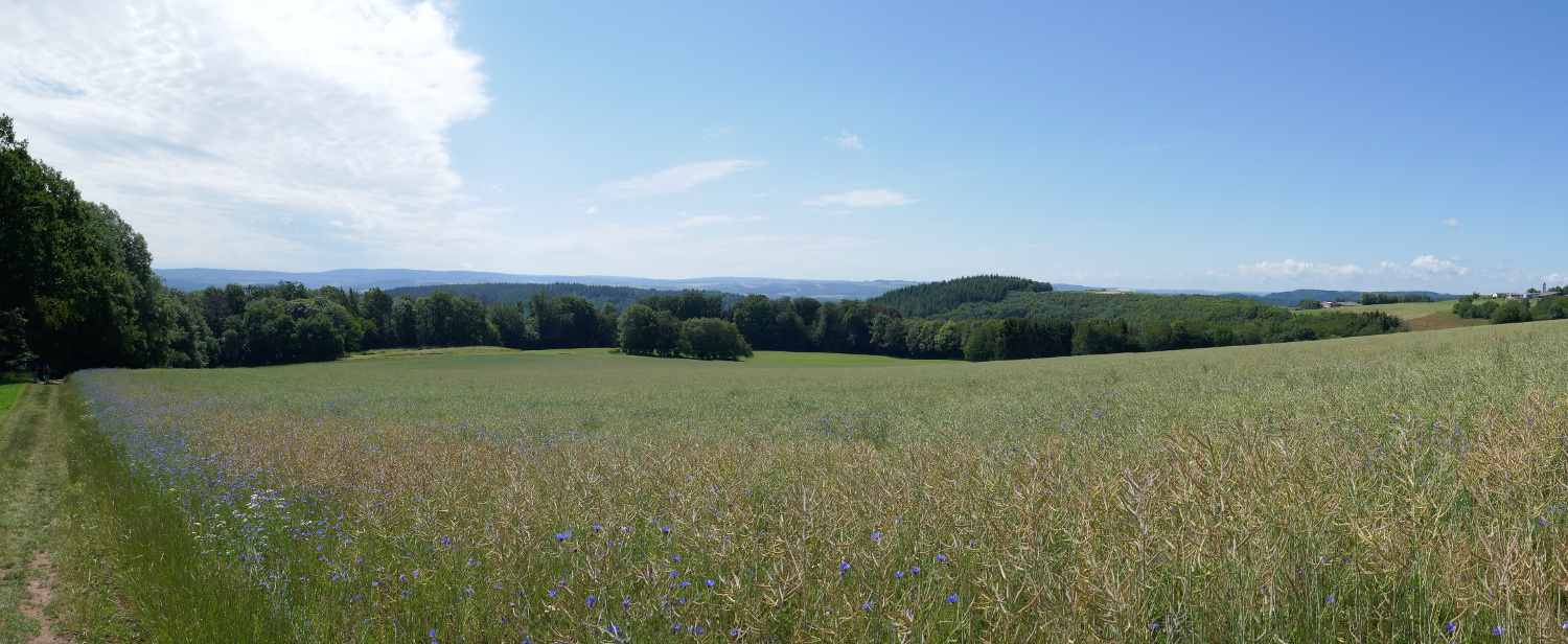 Premiumwanderweg Römerpfad