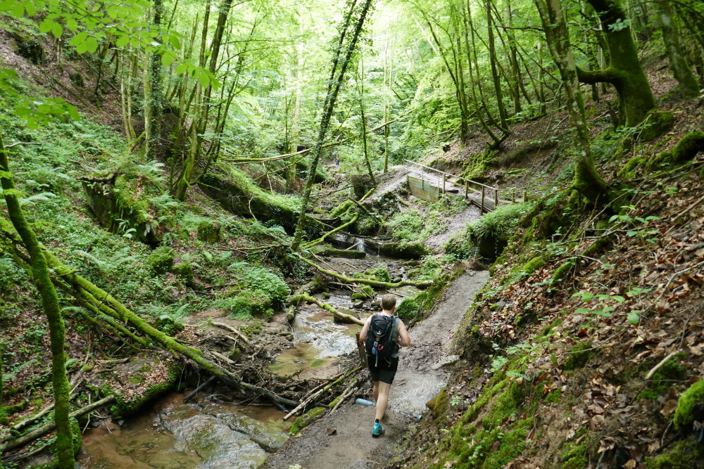 Premiumwanderweg Römerpfad