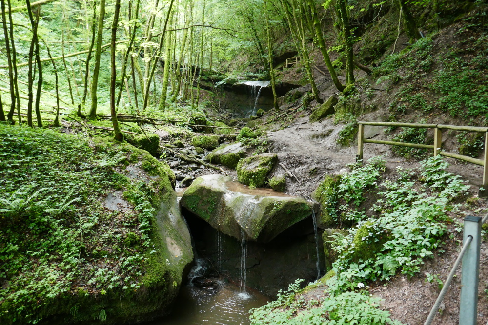 Premiumwanderweg Römerpfad - Tal des Butzerbachs