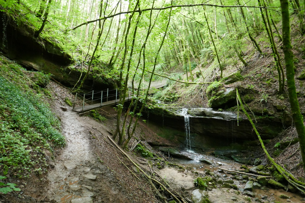 Premiumwanderweg Römerpfad - Tal des Butzerbachs