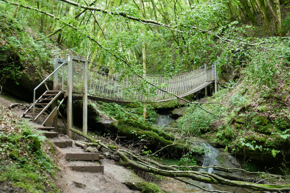 Premiumwanderweg Römerpfad - Tal des Butzerbachs