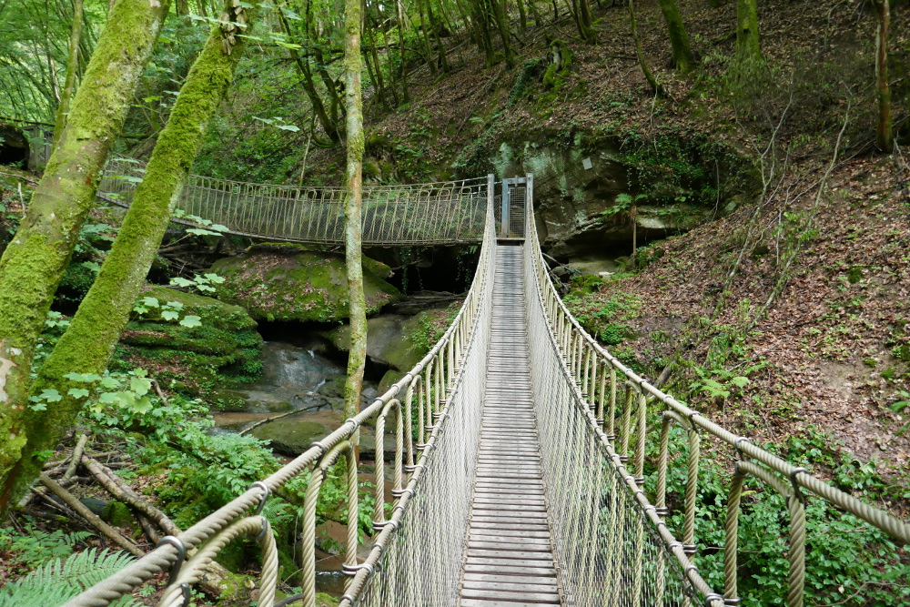 Premiumwanderweg Römerpfad - Tal des Butzerbachs