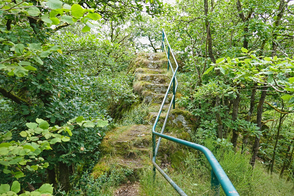 NaturWanderPark delux: Nat’Our Route 5 – Vianden-Falkenstein - Abstieg nach Vianden