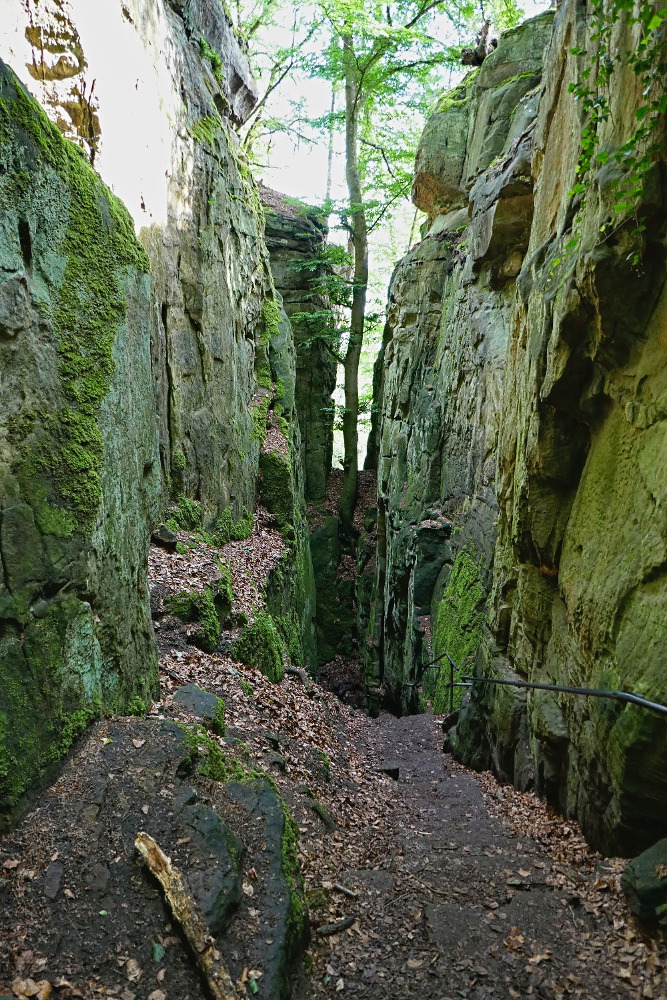 NaturWanderPark delux: Teufelsschlucht und Irreler Wasserfälle