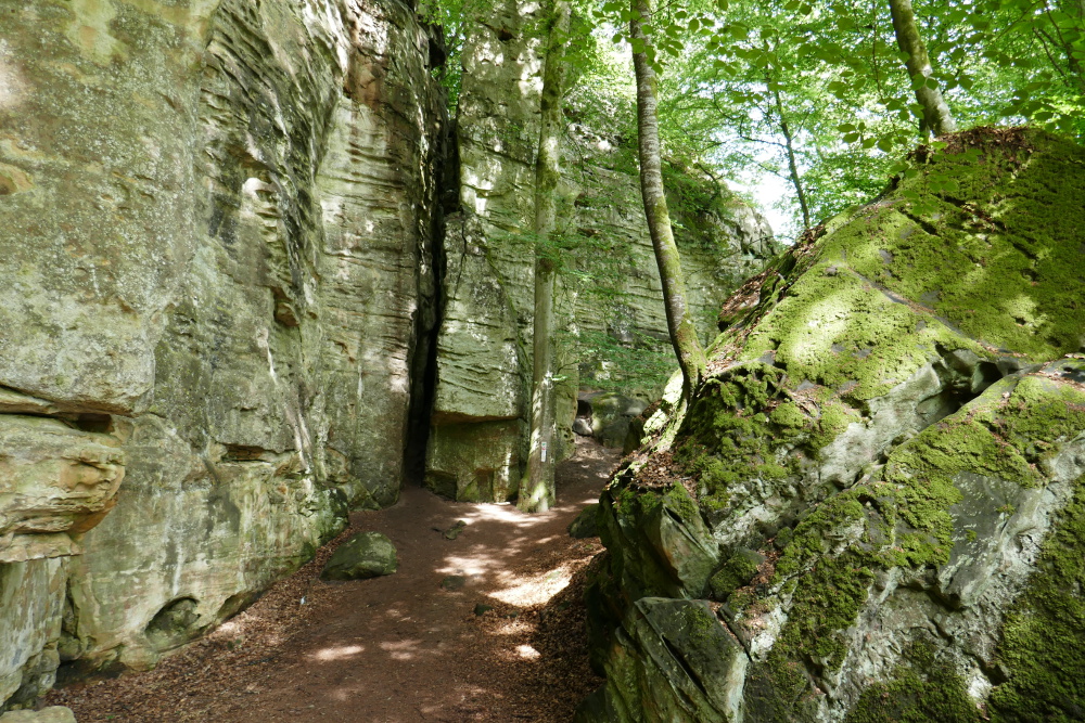 NaturWanderPark delux: Teufelsschlucht und Irreler Wasserfälle