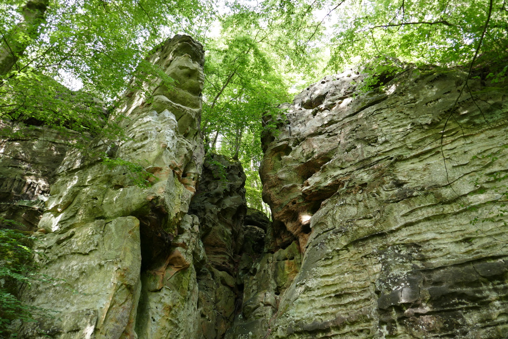 NaturWanderPark delux: Teufelsschlucht und Irreler Wasserfälle