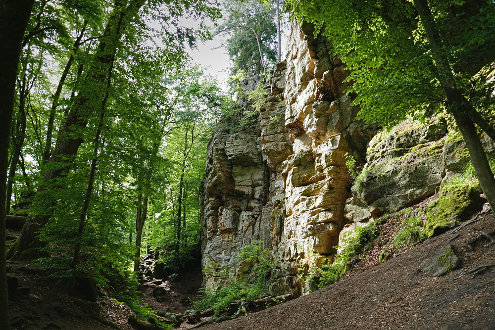 NaturWanderPark delux: Teufelsschlucht und Irreler Wasserfälle