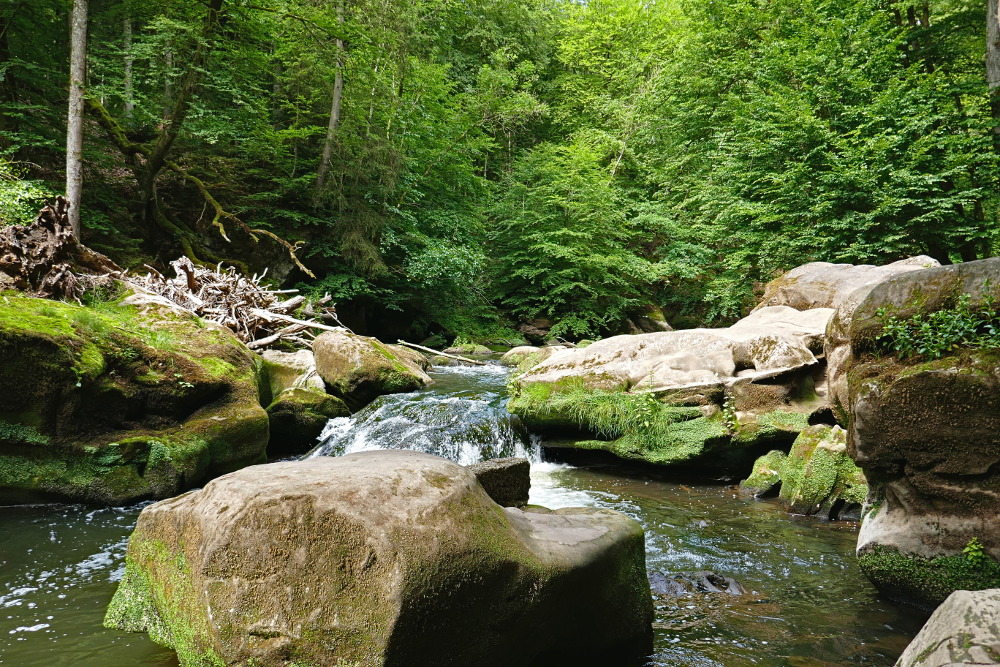 NaturWanderPark delux: Teufelsschlucht und Irreler Wasserfälle