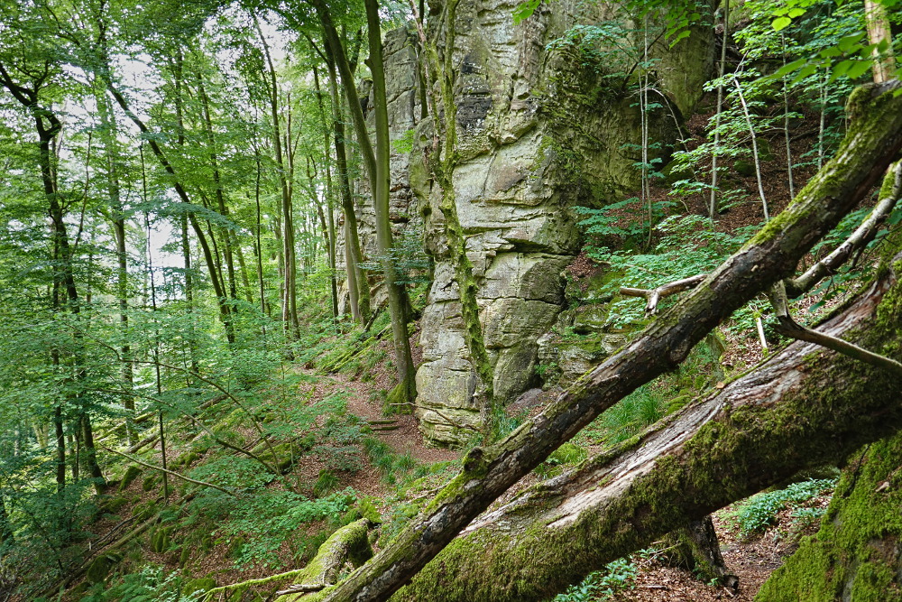 NaturWanderPark delux: Teufelsschlucht und Irreler Wasserfälle