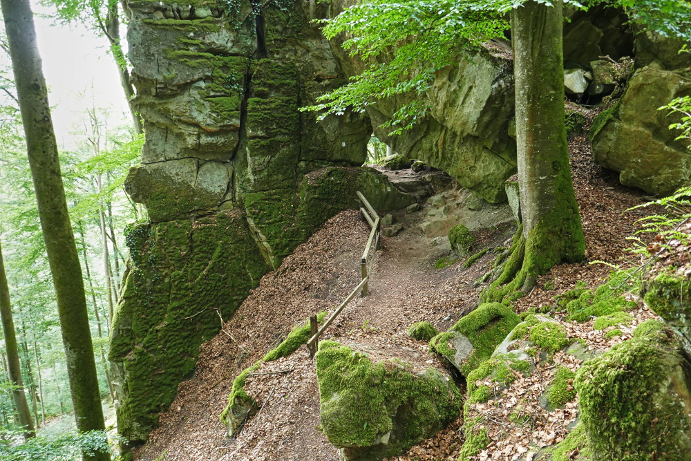 NaturWanderPark delux: Teufelsschlucht und Irreler Wasserfälle