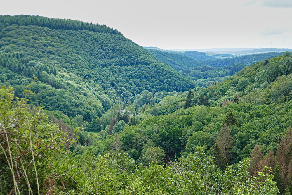 NaturWanderPark delux: Neuer-Burg-Weg