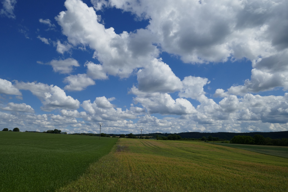Traumpfad Eltzer Burgpanorama