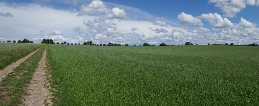 Traumpfad Eltzer Burgpanorama
