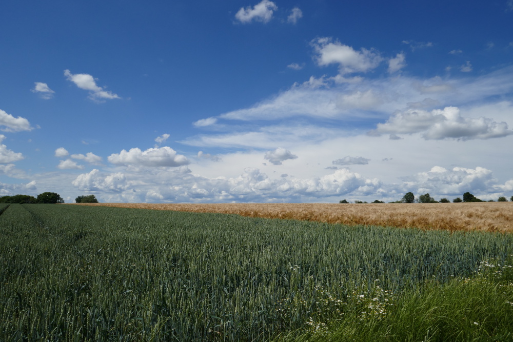 Traumpfad Eltzer Burgpanorama