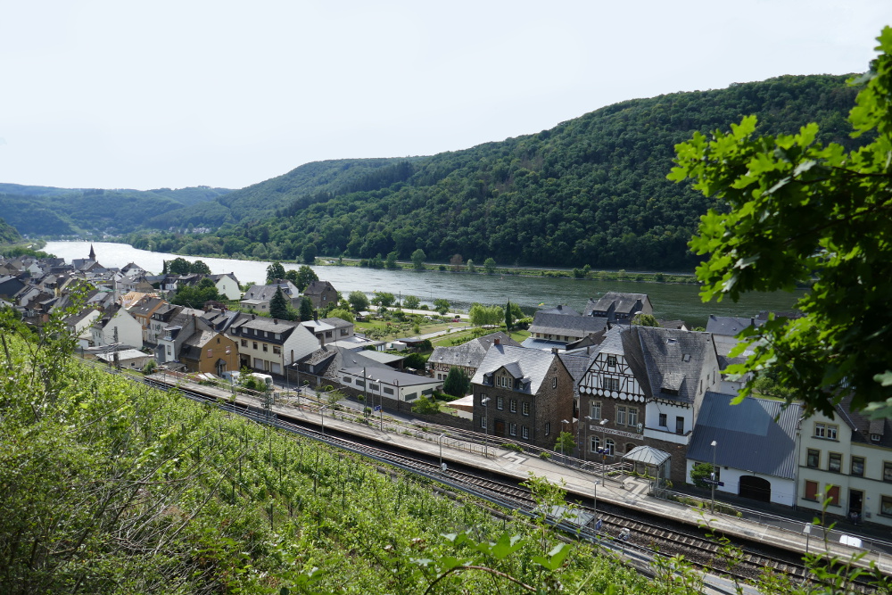 Traumpfad Hatzenporter Laysteig