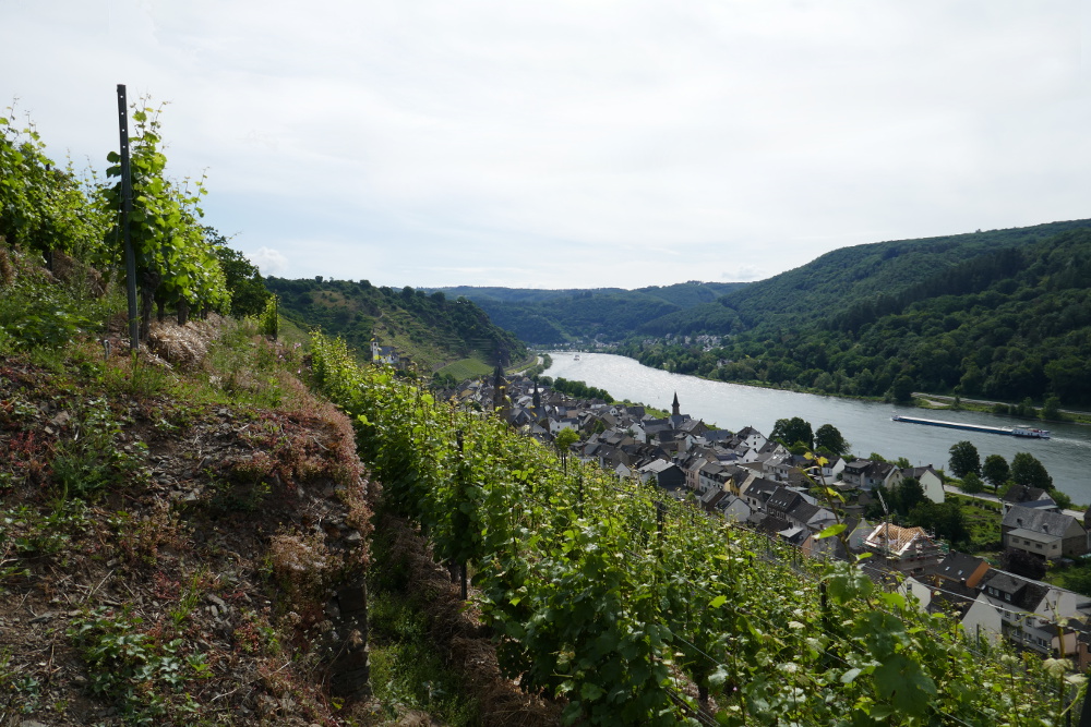 Traumpfad Hatzenporter Laysteig
