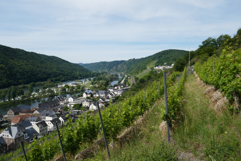 Traumpfad Hatzenporter Laysteig