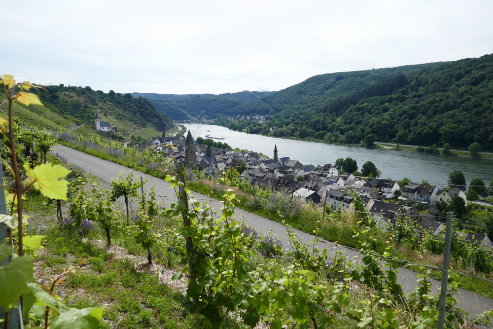 Traumpfad Hatzenporter Laysteig