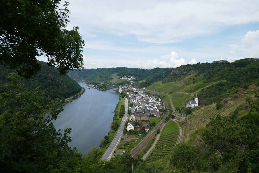 Traumpfad Hatzenporter Laysteig