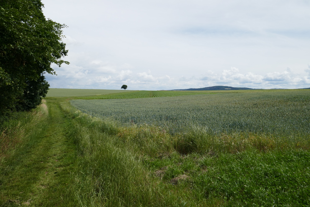 Traumpfad Hatzenporter Laysteig