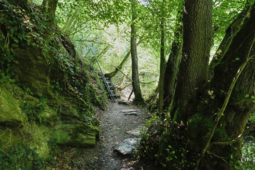 Traumschleife Ehrbachklamm mit Schöneckschleife