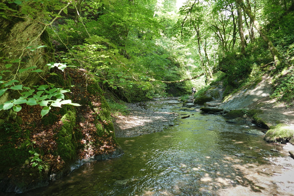 Traumschleife Ehrbachklamm mit Schöneckschleife
