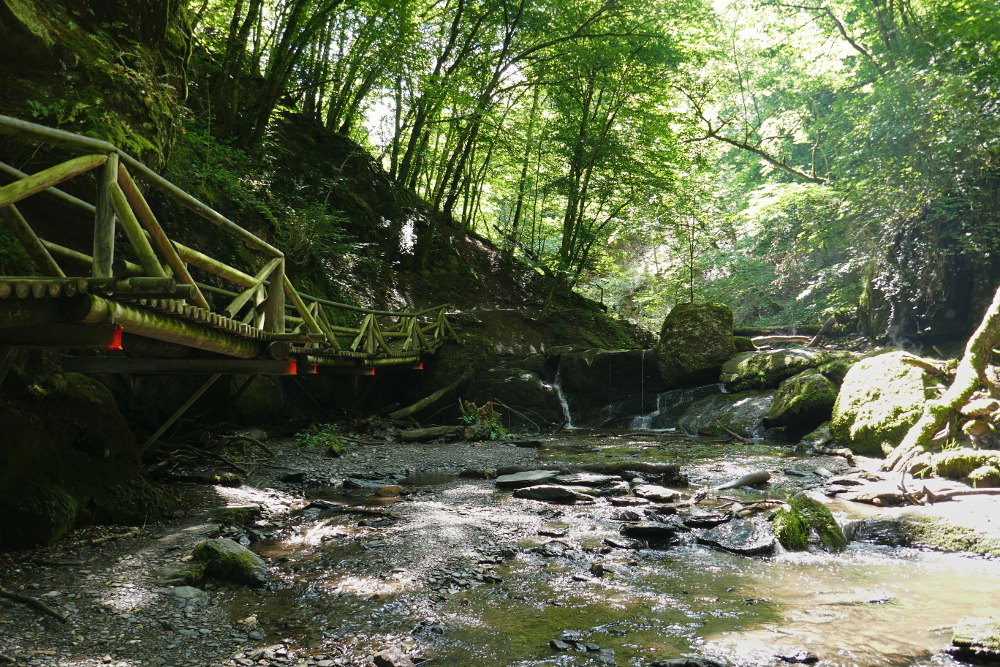 Traumschleife Ehrbachklamm mit Schöneckschleife