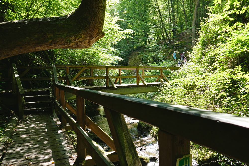 Traumschleife Ehrbachklamm mit Schöneckschleife