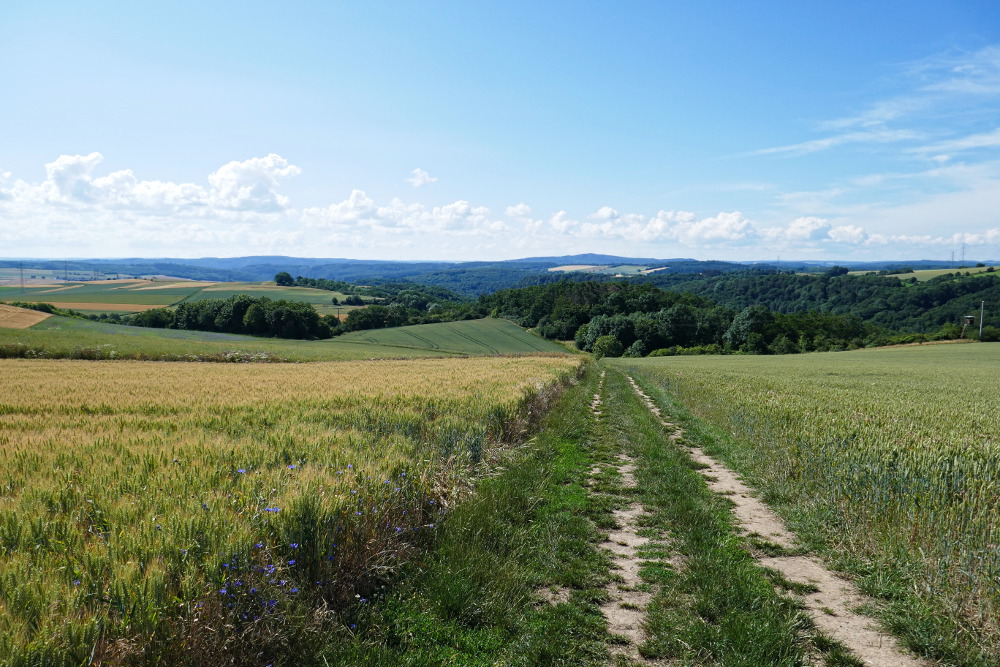 Traumpfad Pyrmonter Felsensteig