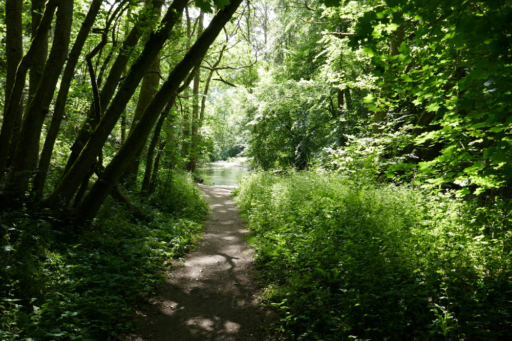 Traumpfad Pyrmonter Felsensteig
