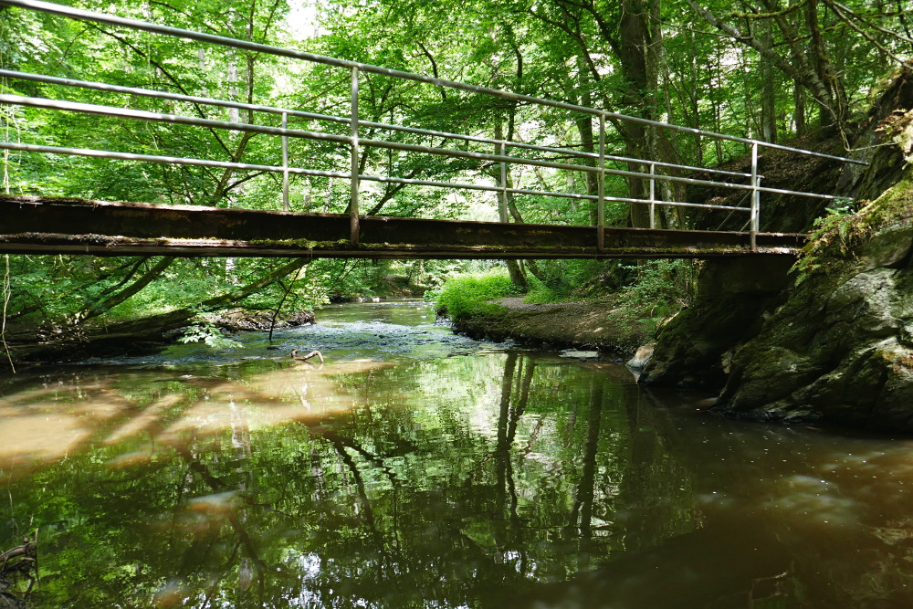 Traumpfad Pyrmonter Felsensteig