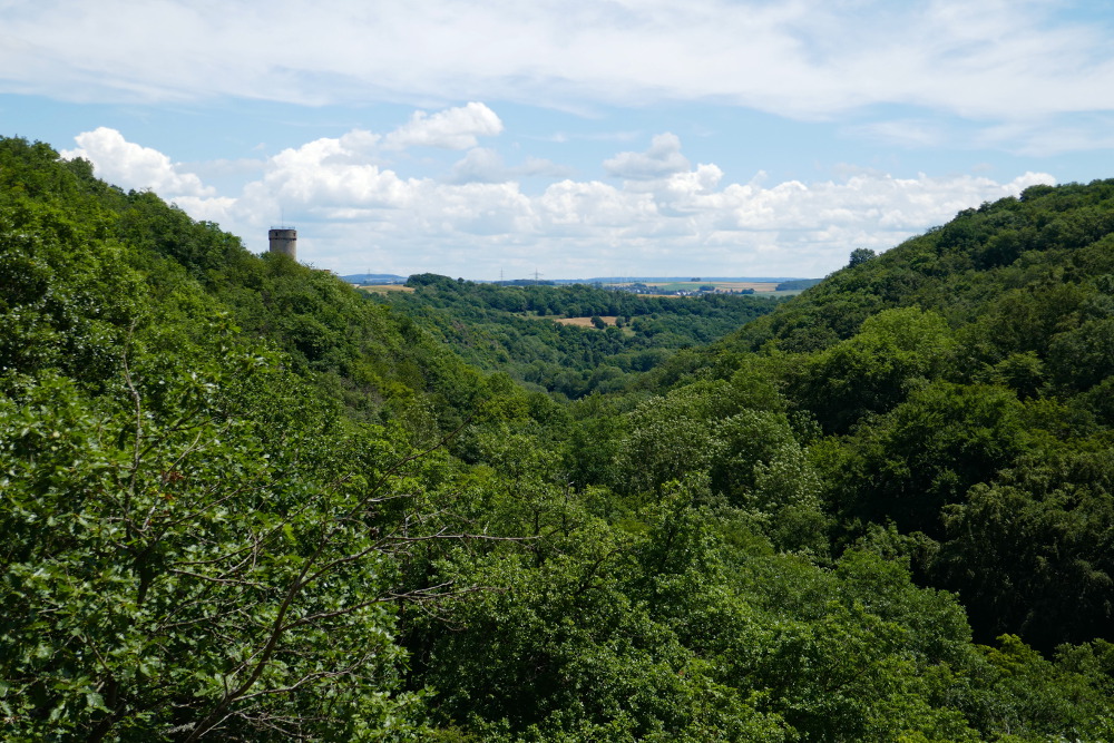 Traumpfad Pyrmonter Felsensteig