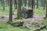 NaturWanderPark delux: Moore-Pfad Schneifel - Überreste des Westwalls