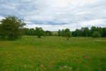 NaturWanderPark delux: Moore-Pfad Schneifel